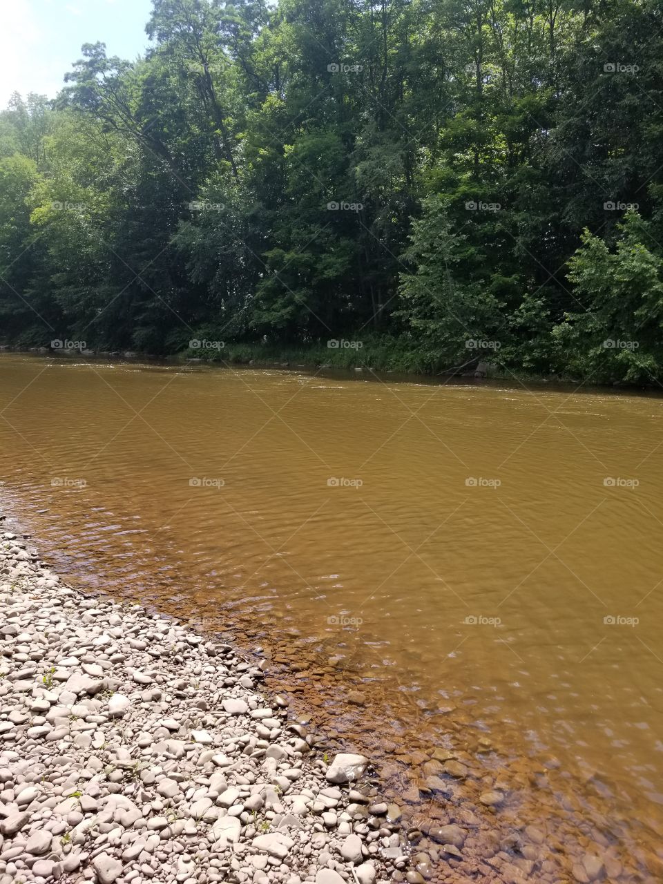 No Person, Water, Nature, Landscape, Tree