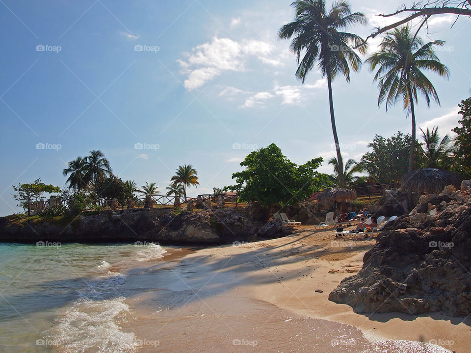 beach tree palm tropical by swatchtime