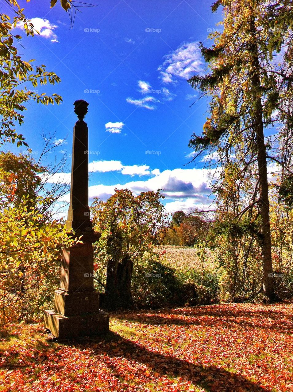 Mountain Grove Cemetery 