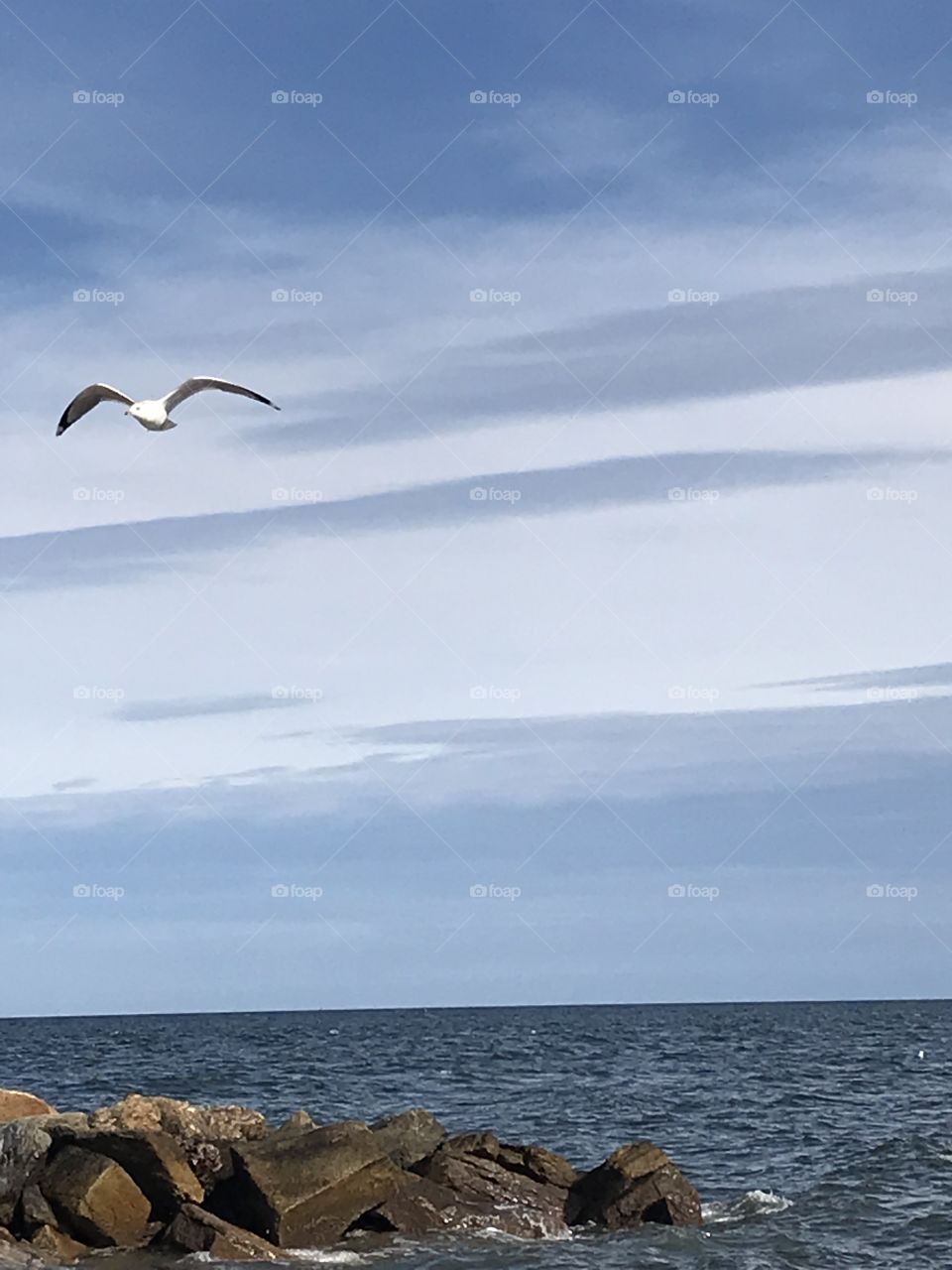 The beach in early spring, seagulls flying overhead 