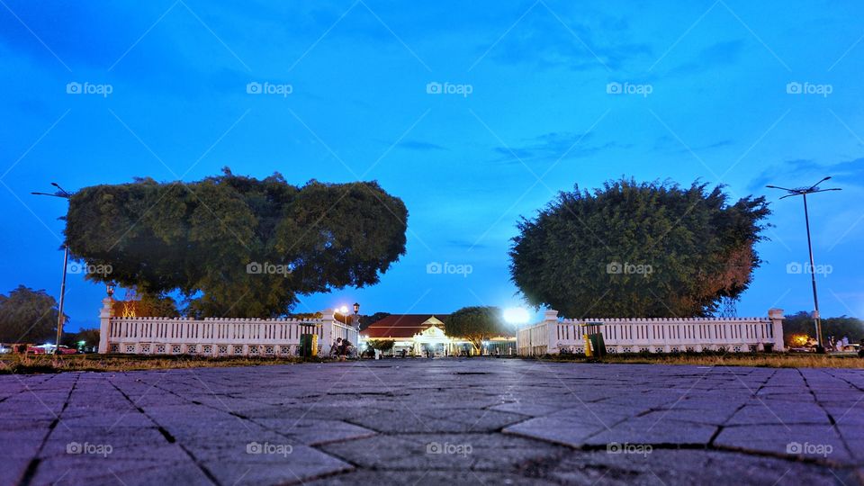 Banyan trees gate to Yogyakarta Royal Palace