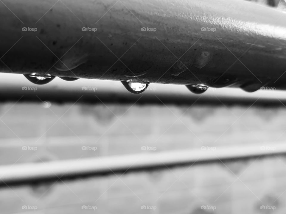 Rain droplets 
