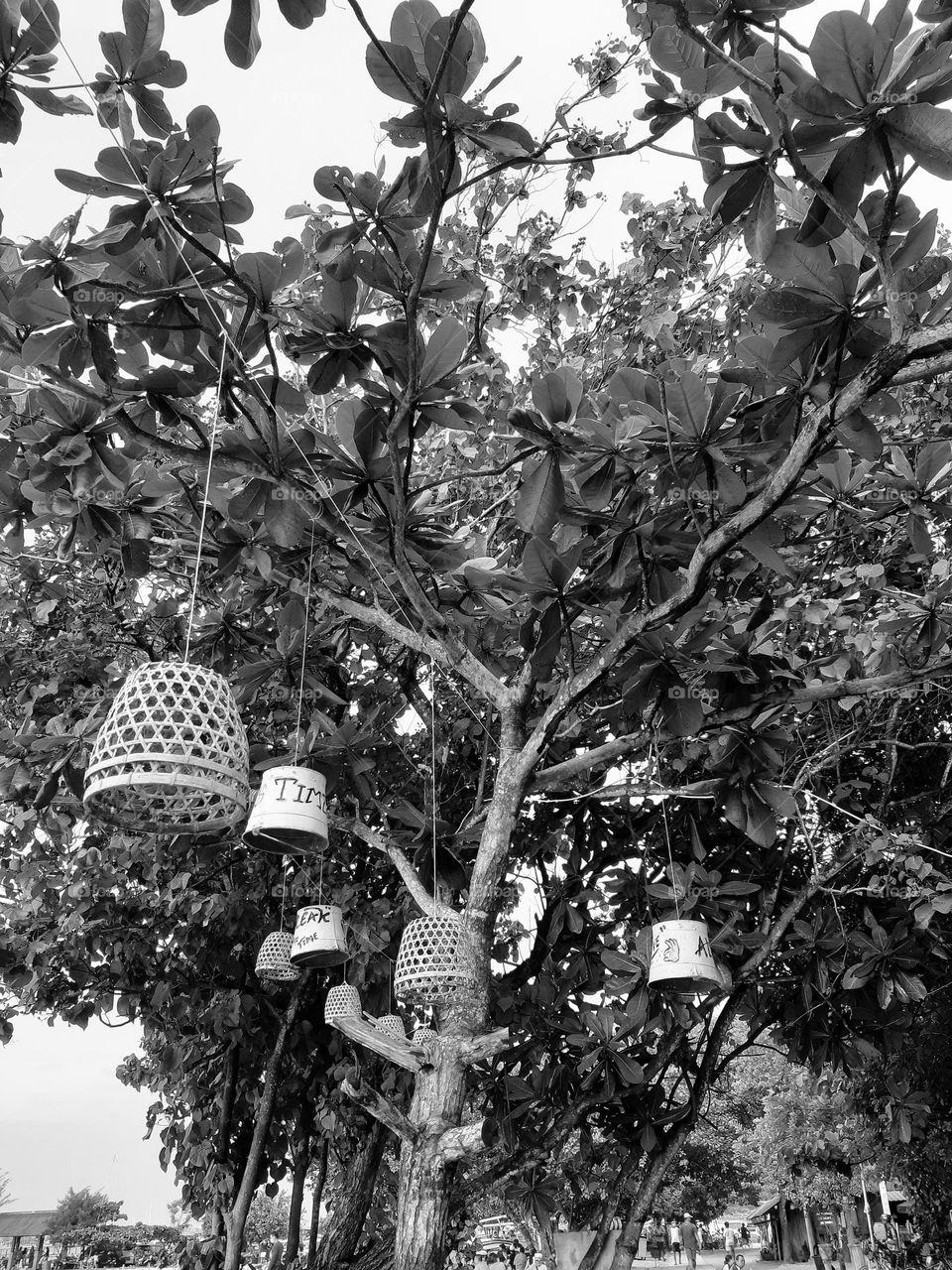 Unique decorations hang in a tree. They are traditional lamps