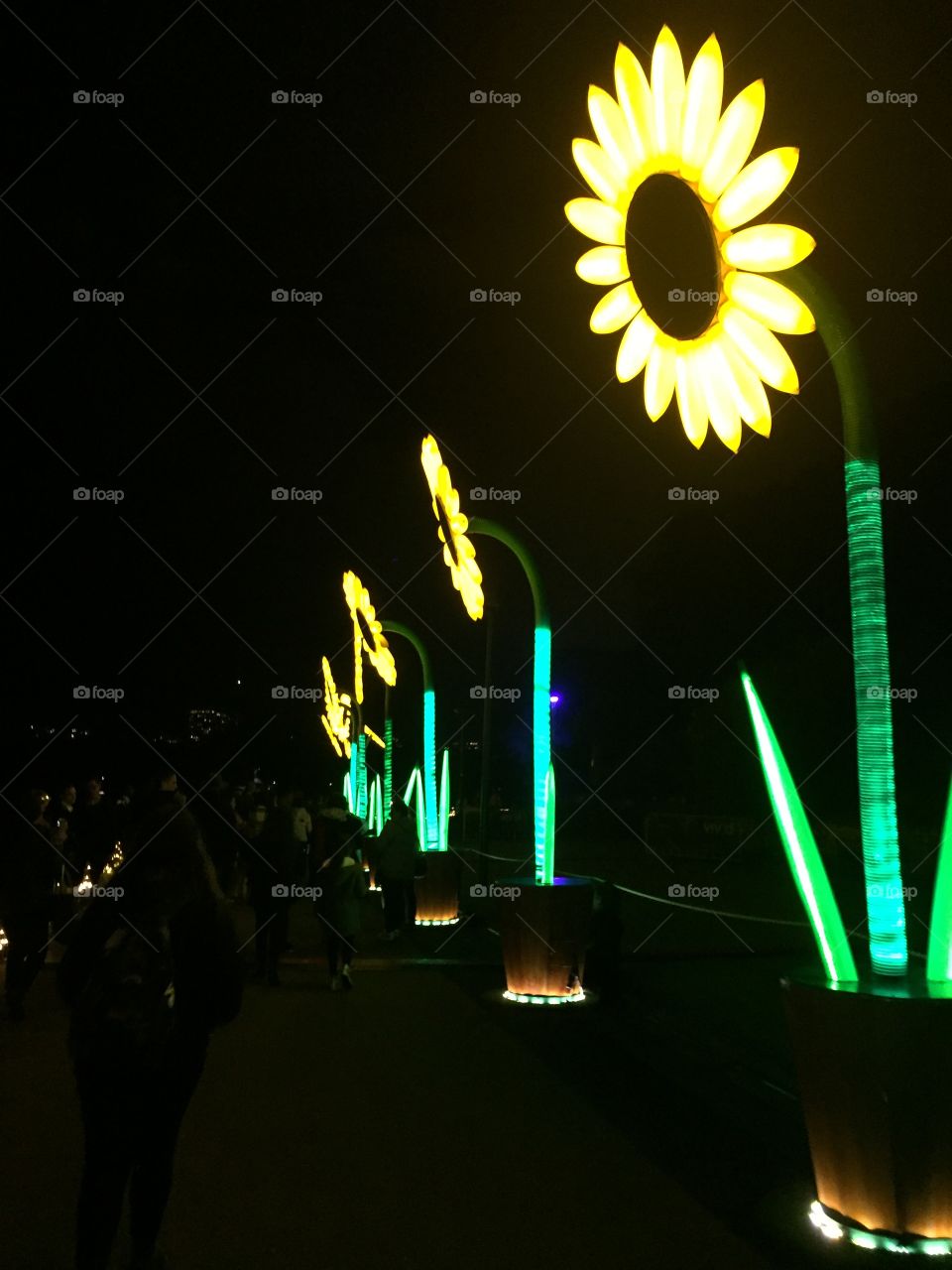 Neon sunflower 