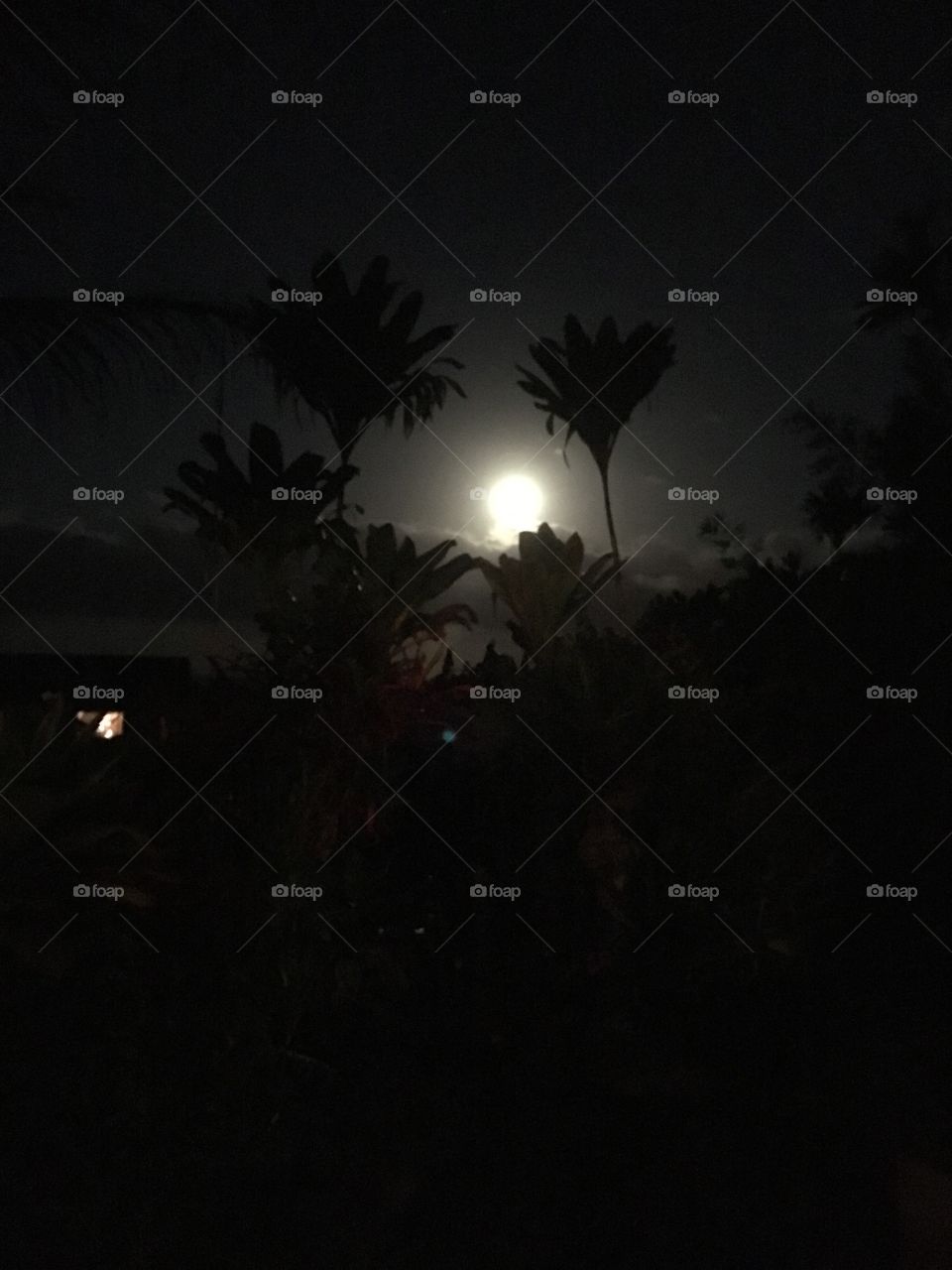 Super moon January 1 2018 Hawaii
