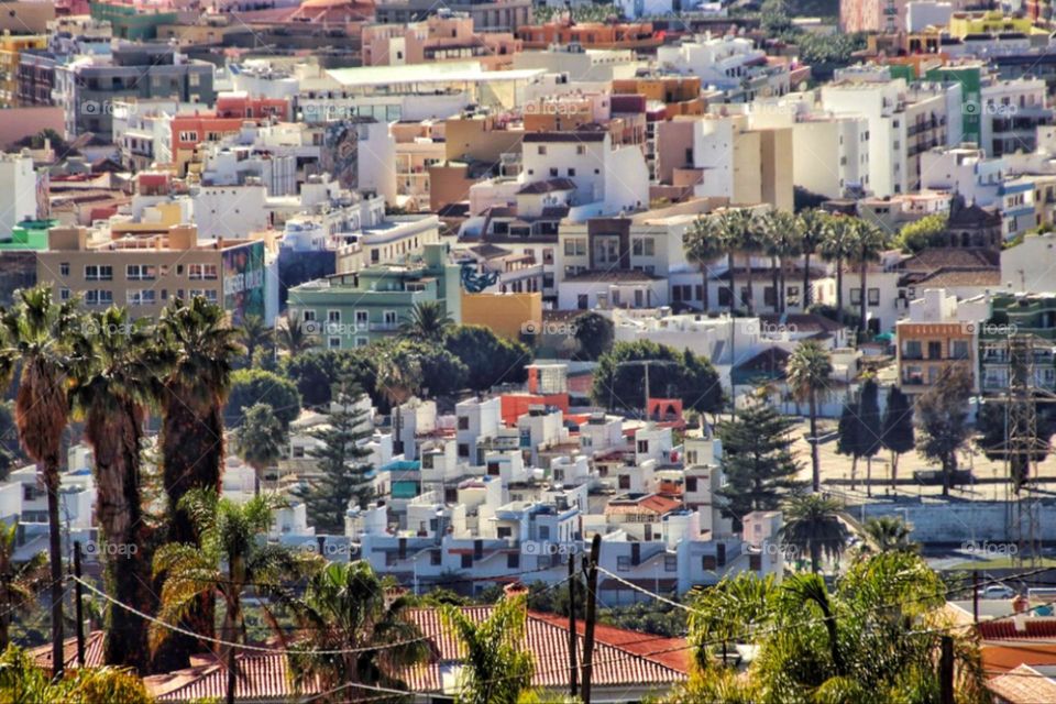 Aerial view of cityscape with colorful houses, trees and palm trees  