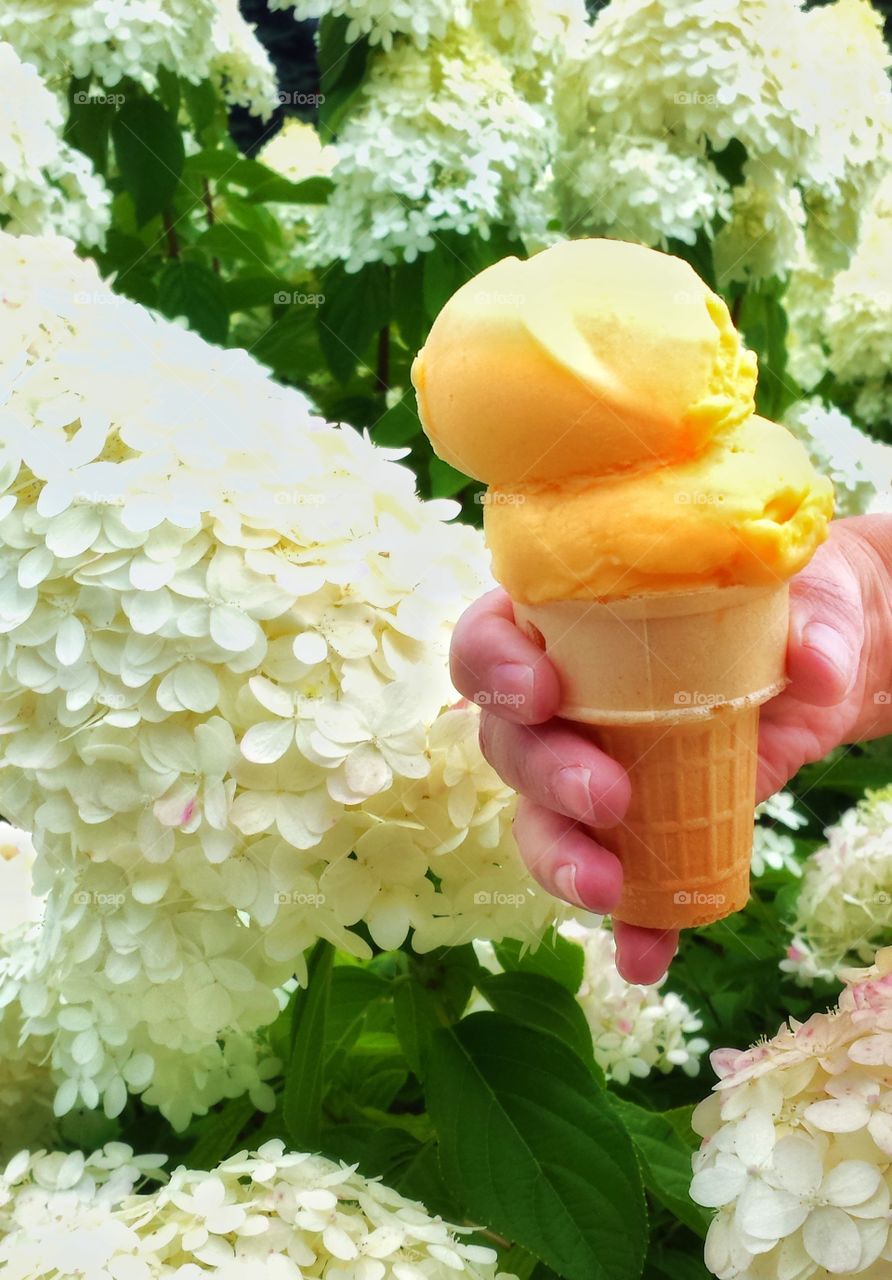 Hands Holding Ice Cream 