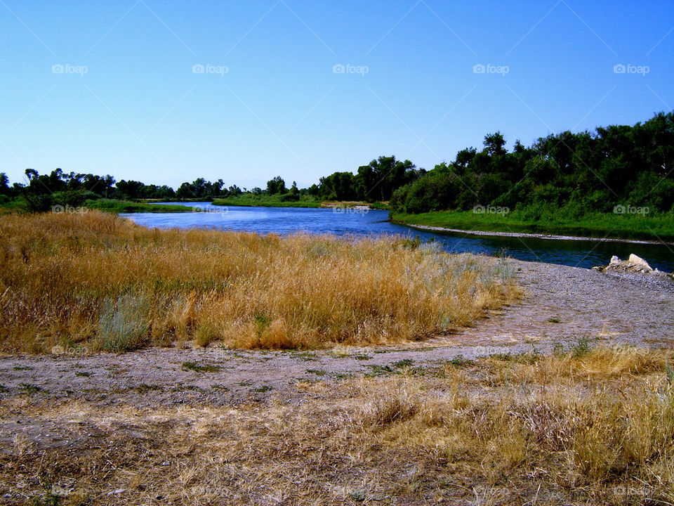 forest woods river plains by refocusphoto