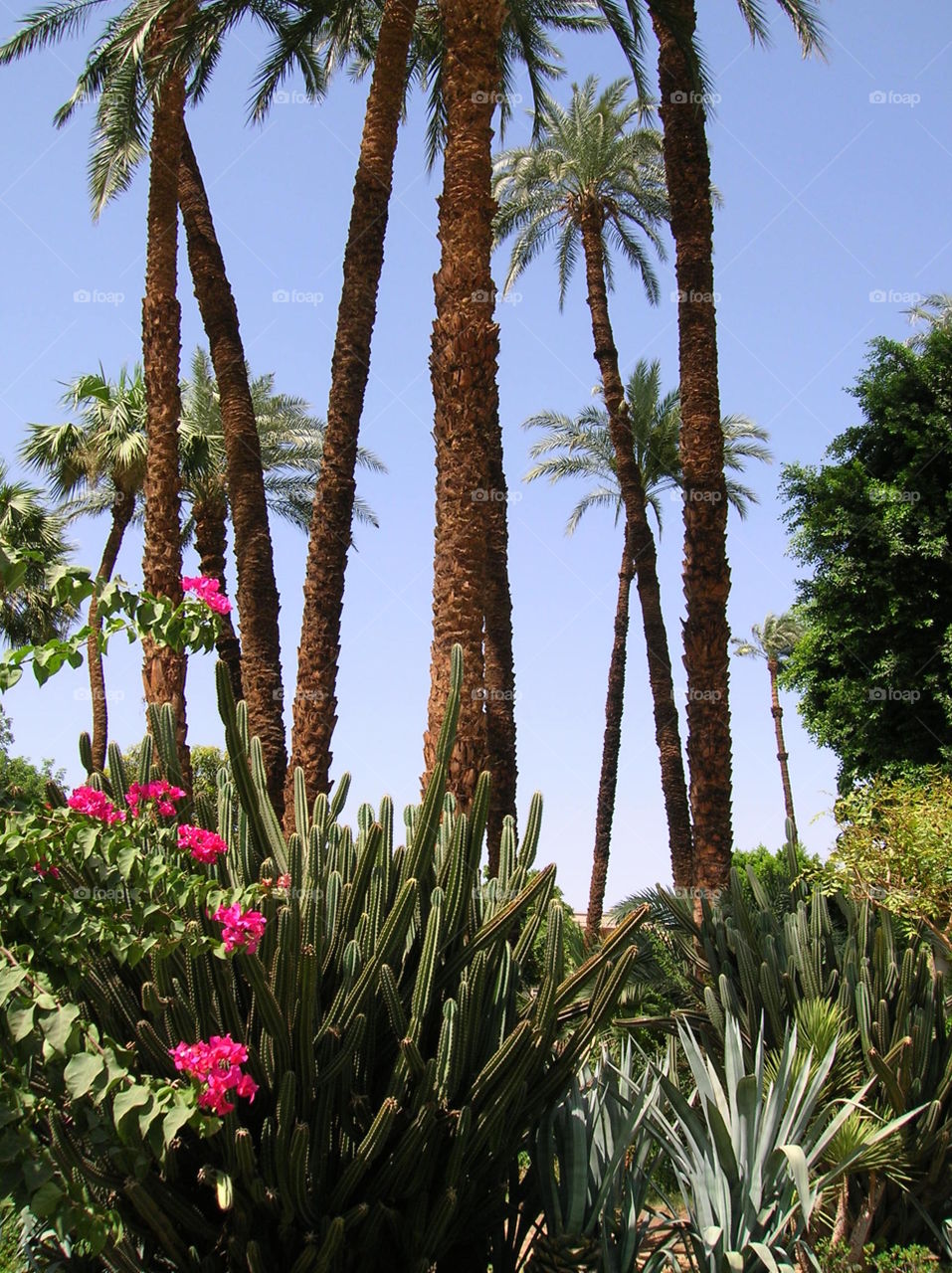Keeping cool in the gardens.