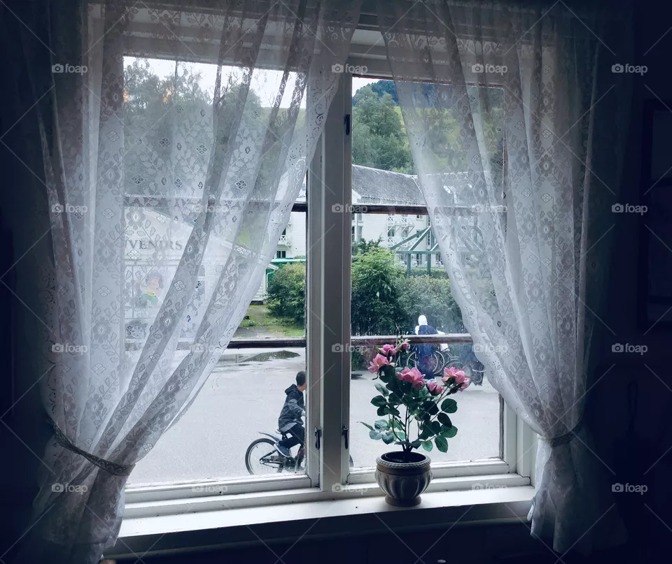 Window 