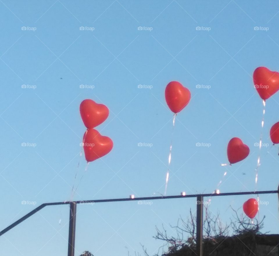 red hearts balloons