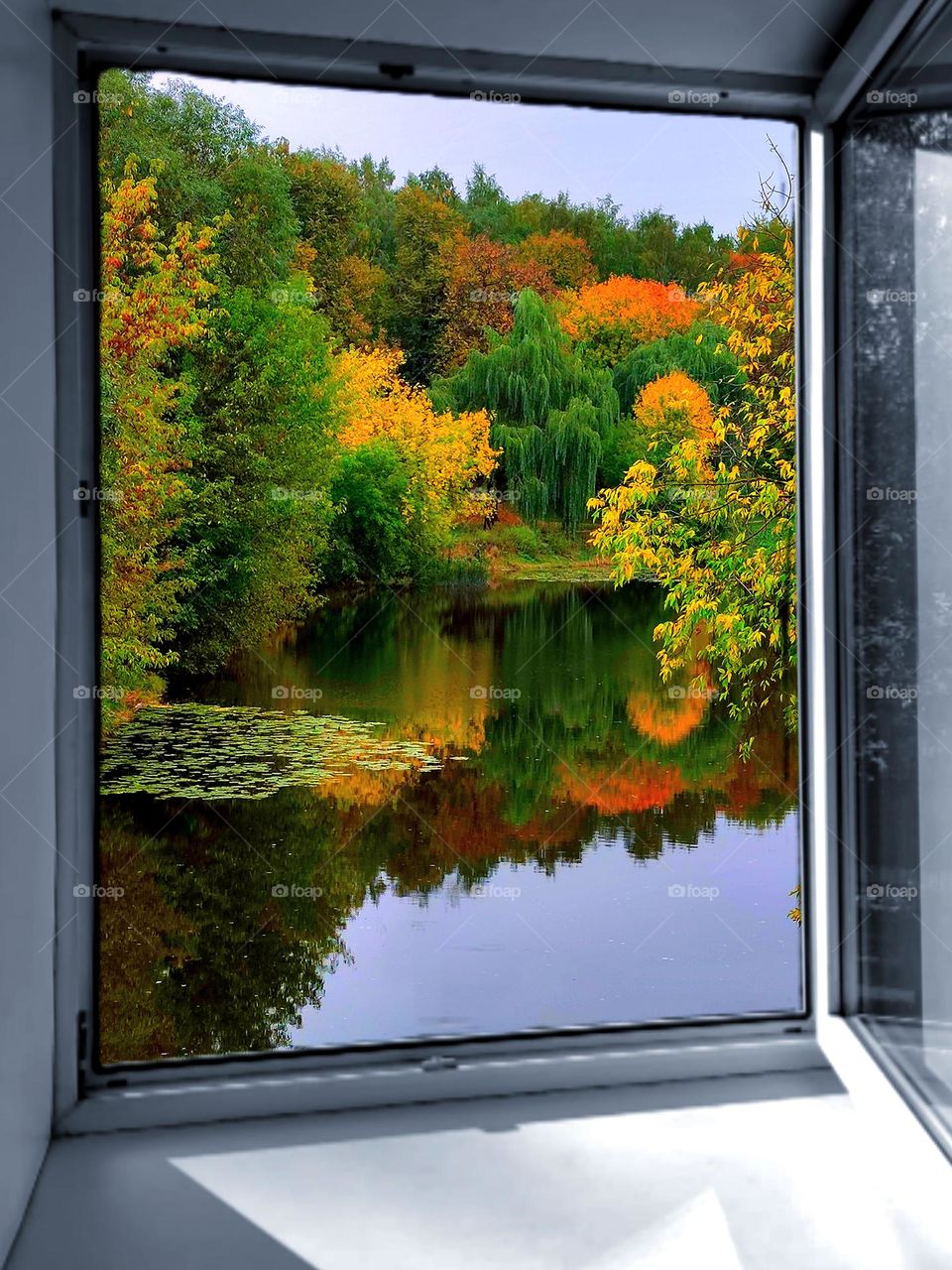 Autumn landscape. Through a black-and-white window, the clear water of the river is visible, which reflects the multi-colored autumn trees that grow on the shore.