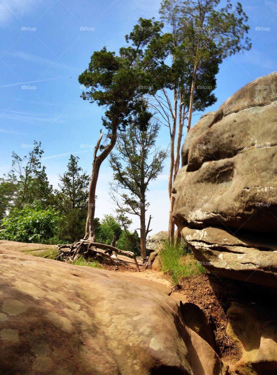 Shawnee national park