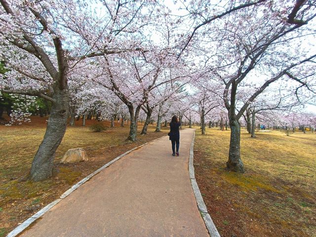 Colors of Spring