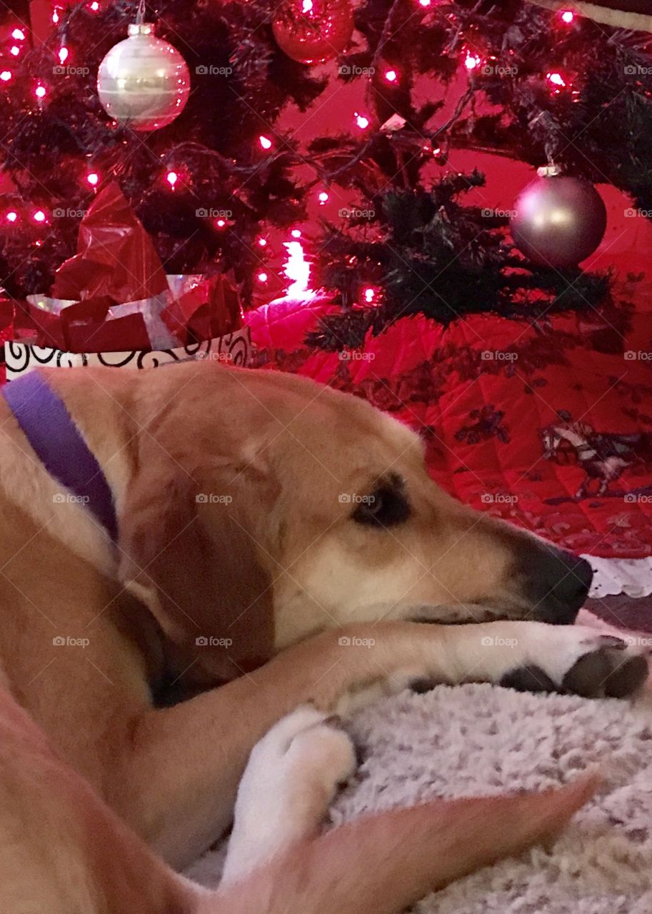 Waiting for Santa
