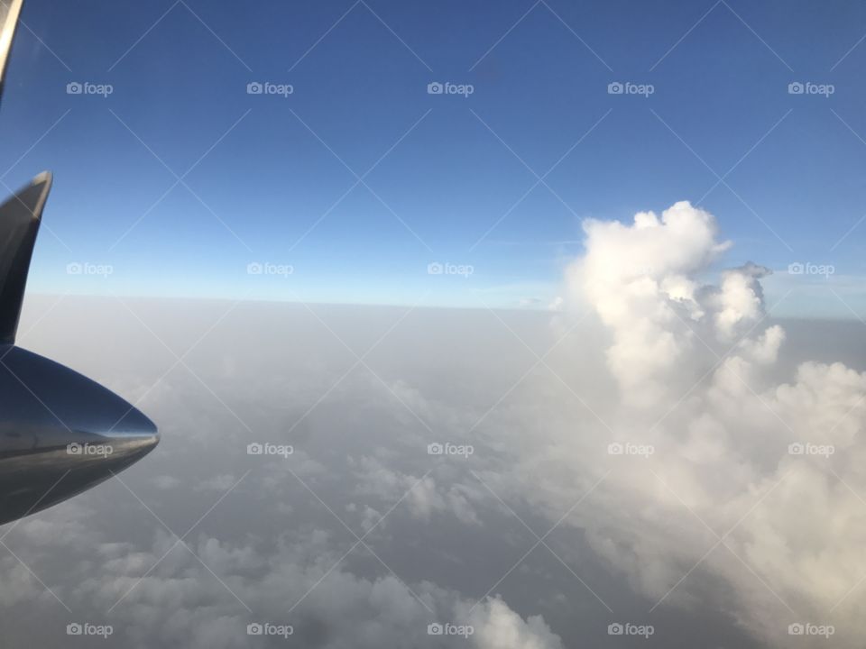 Plane window