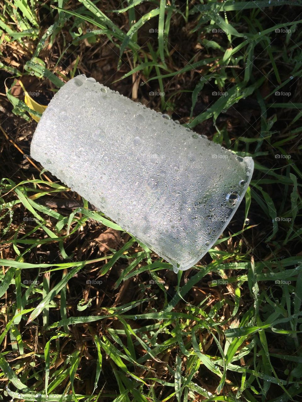 Water Droplets In A Cup