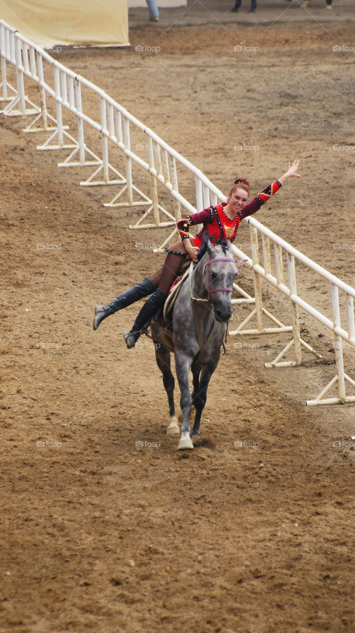 Equestrian performances 馬術表演