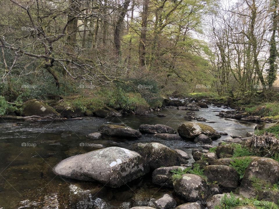 River Dart, Devon,popular with families visiting Dartmoor.