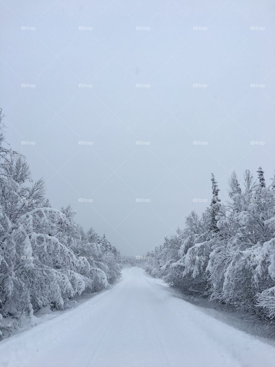 Snowy road.