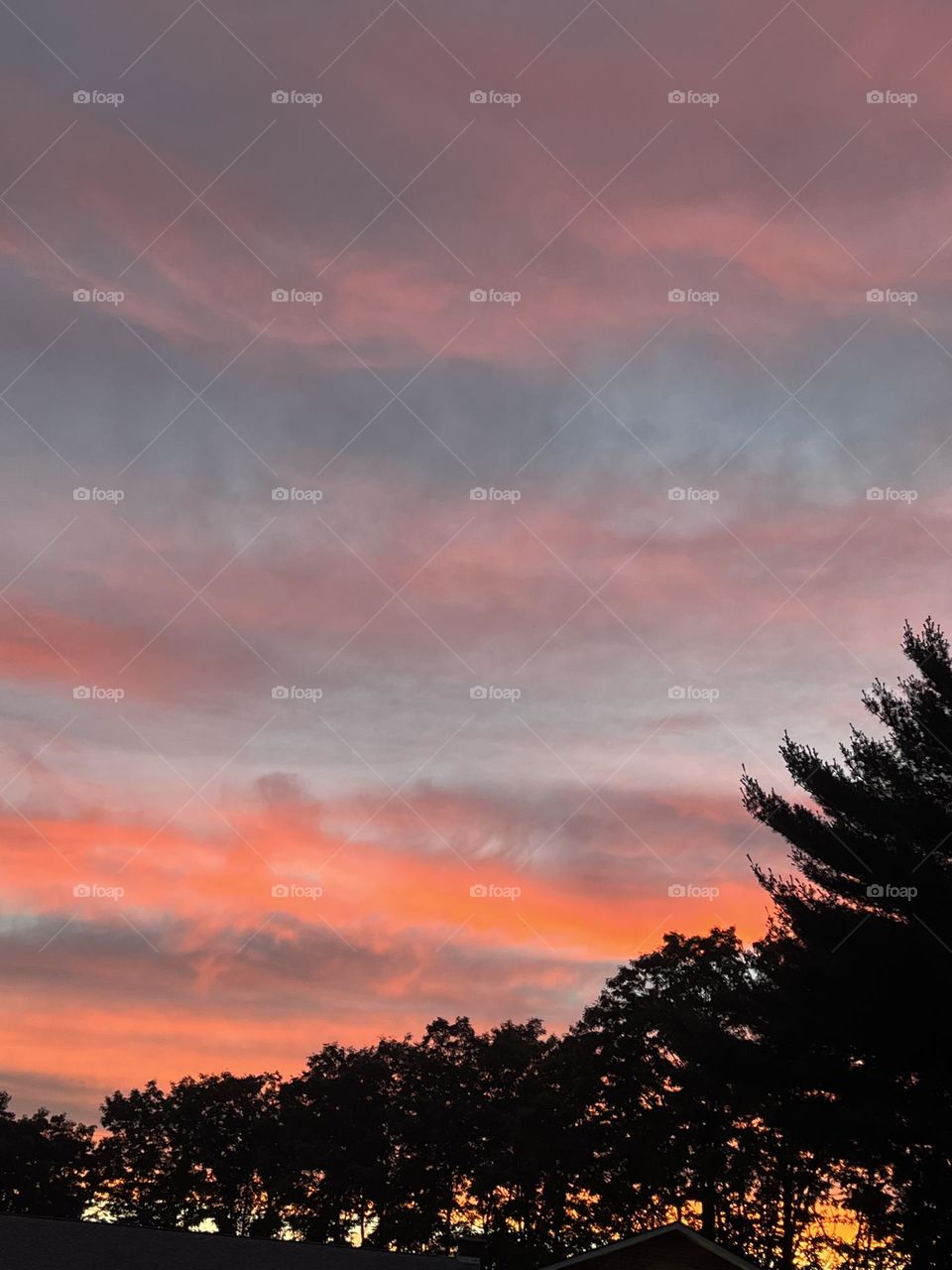 Cotton candy clouds sunset