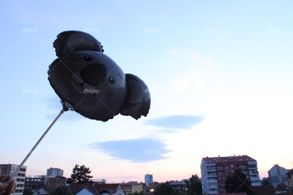 A balloon in the shape of a Koala 🐨