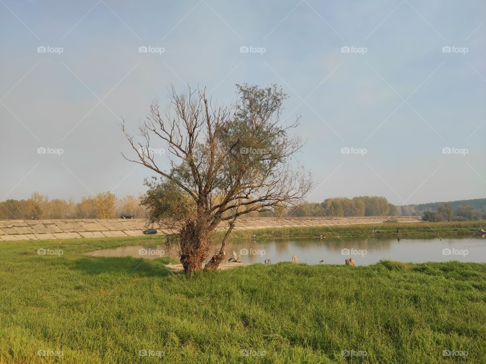 Kovin Serbia river Danube canal tree on the shore autumn landscape