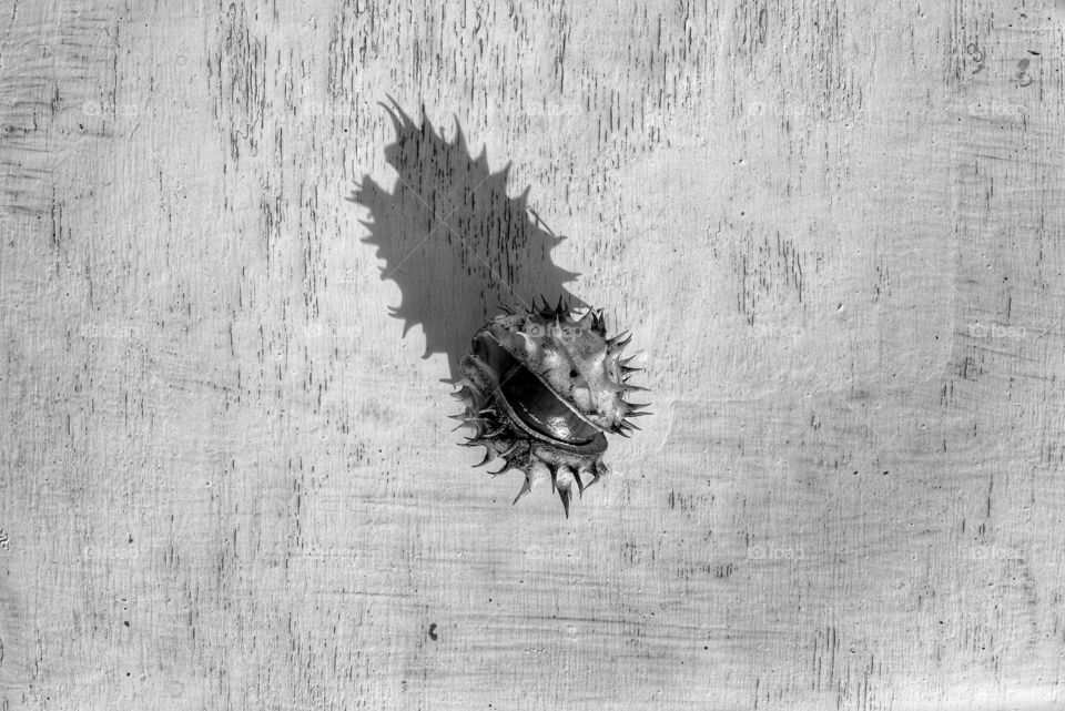 Retro, Vintage, Old, Texture, Design