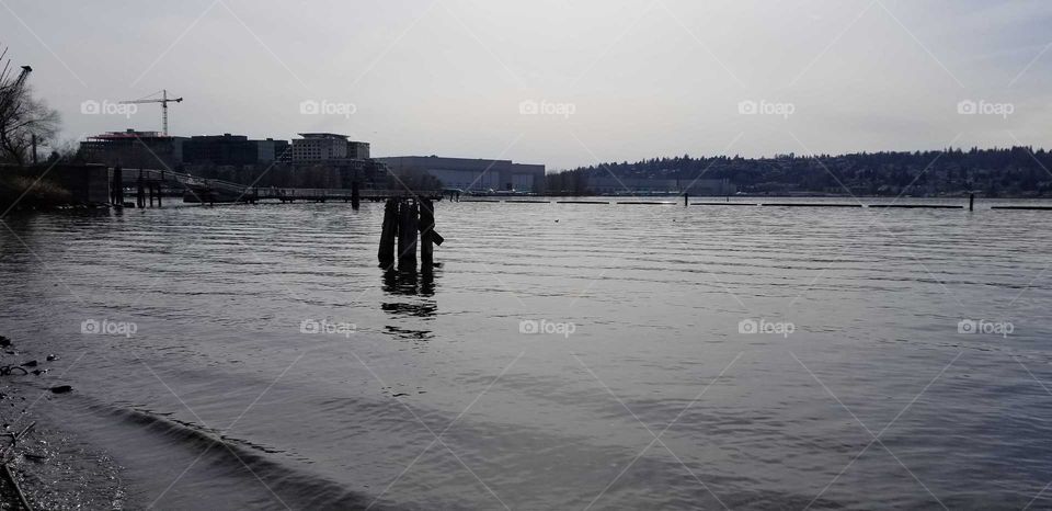 lake Washington