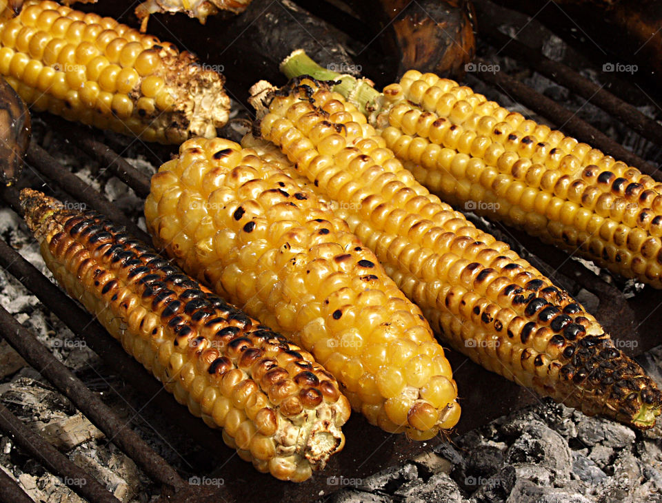 corn cob grilled .