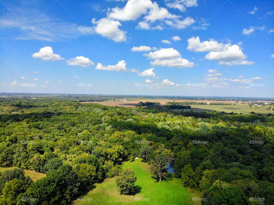A colorful country scene with clear skies and fields of green.