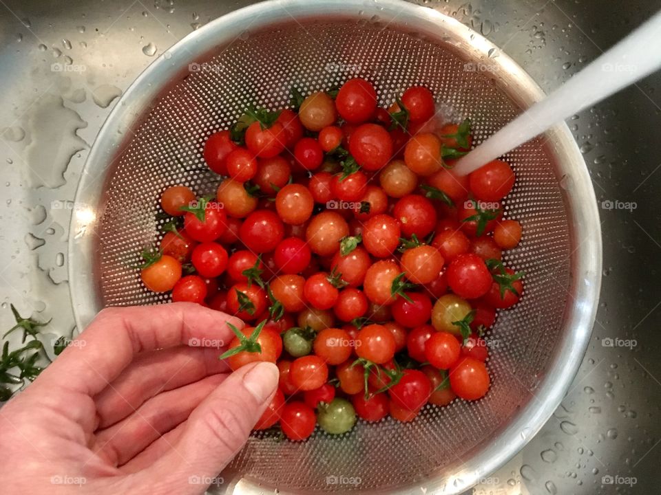 Woman hand holding cherry tomato