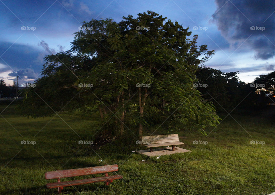 bench lonely park by lilduval