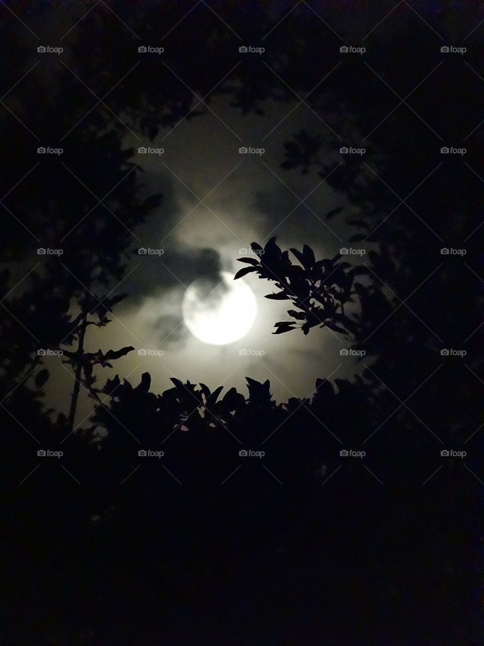 Full moon during the solar eclipse in Wisconsin 