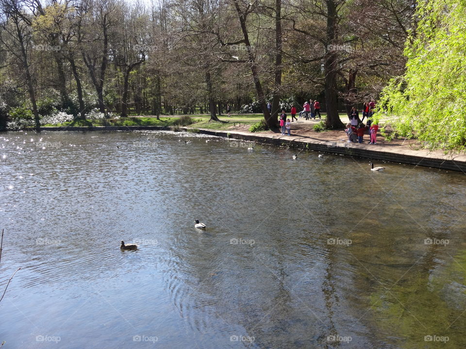 People enjoying spring