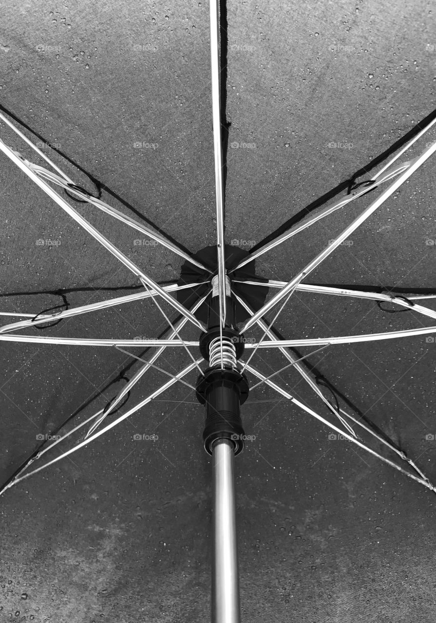 Symmetry Everywhere Umbrella