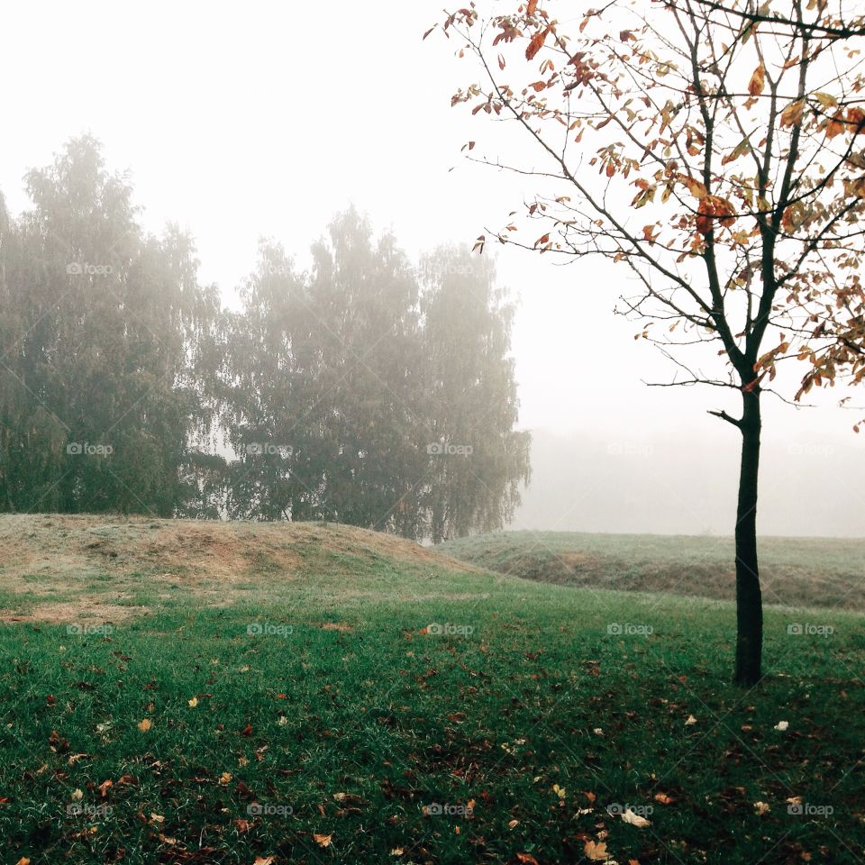 Foggy weather