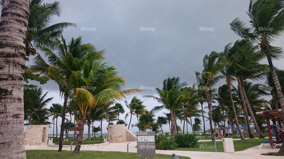 tropical storm clouds. Taken in Cancun right before a large storm hit
