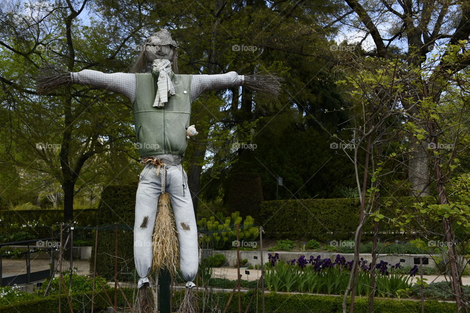 Jardín botánico, Madrid