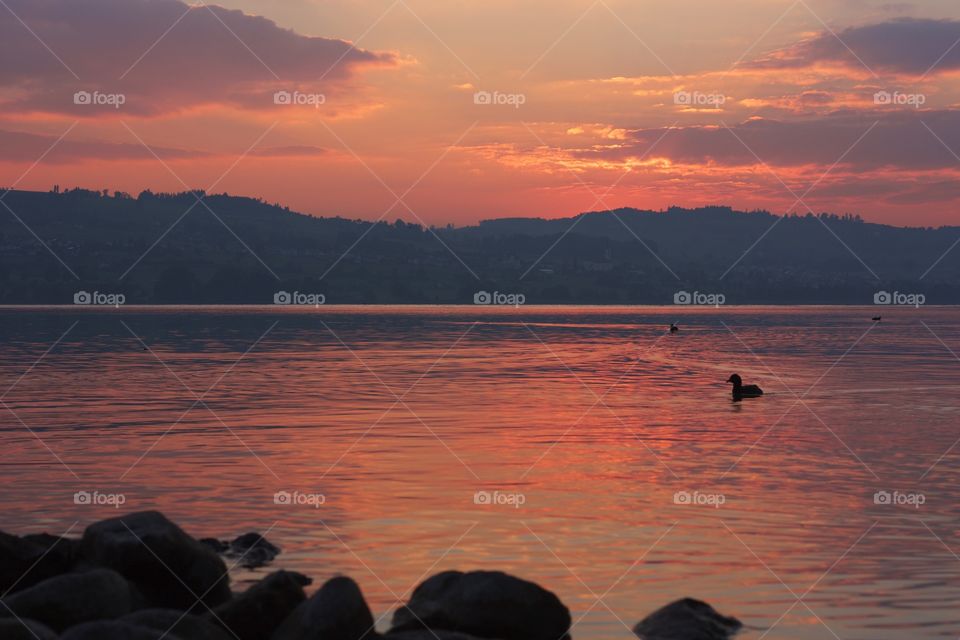 Sunset at lake sempachersee in luzern