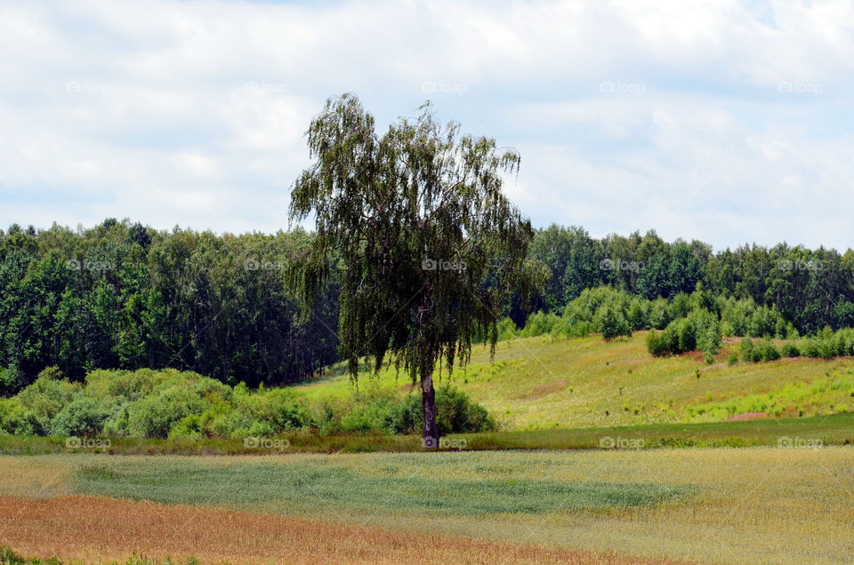Landscape of Mazurian region in Poland