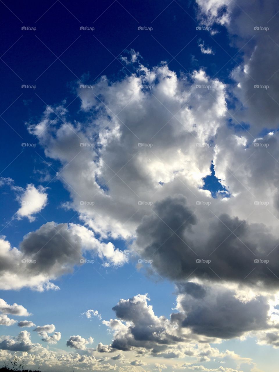 A cloudy day in the northwest. 