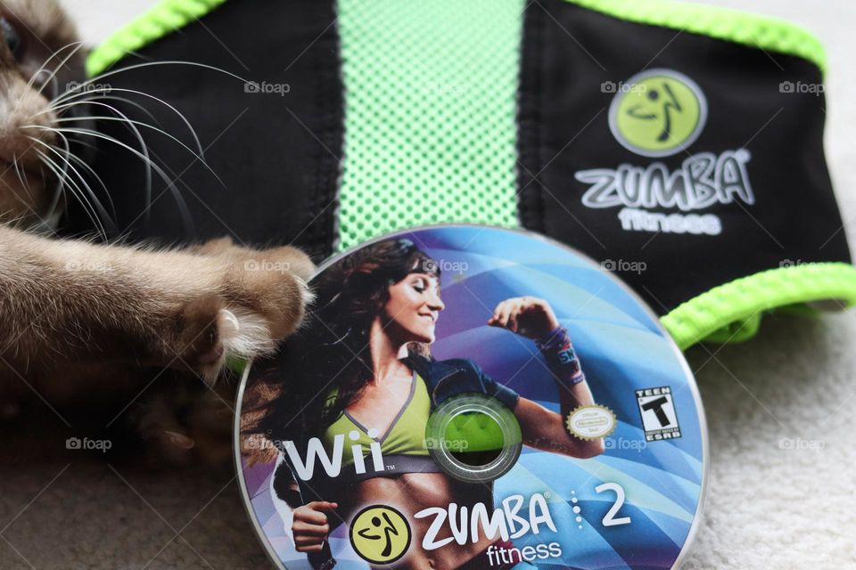 Kitten’s paw on Zumba CD with Zumba belt in background
