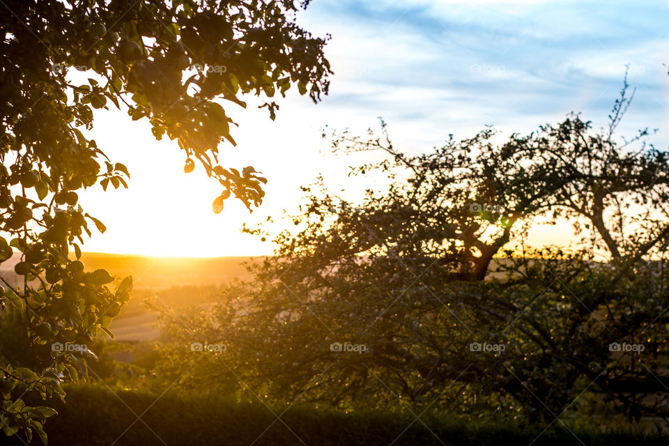 fall, sunset