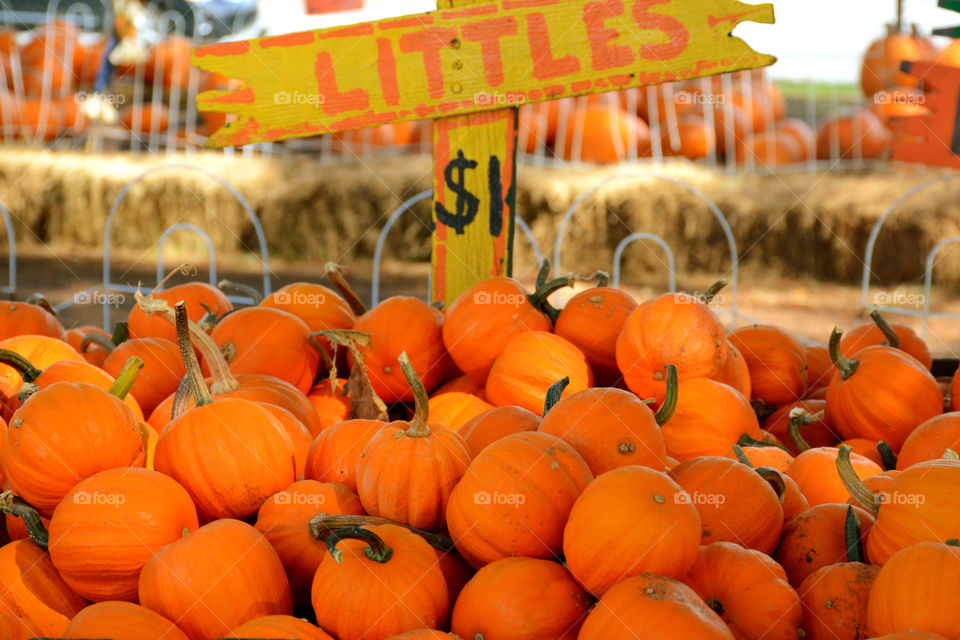 Tiny pumpkins