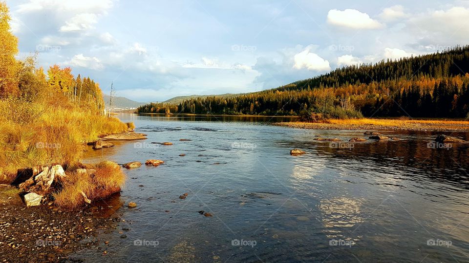 By the river