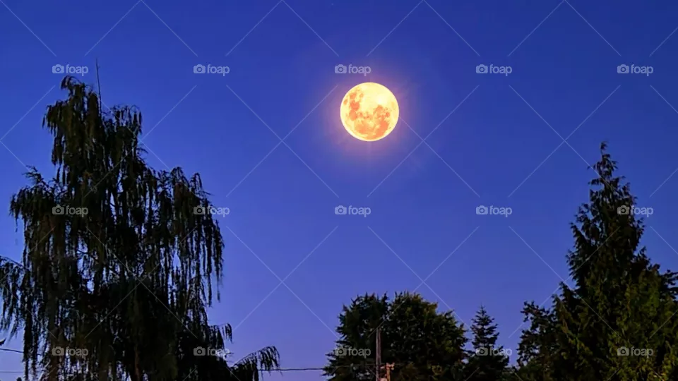 Haven't moon Nights