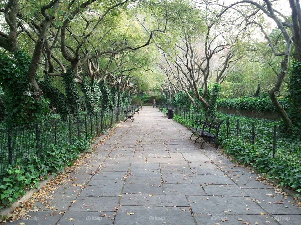 World of Green in Central Park