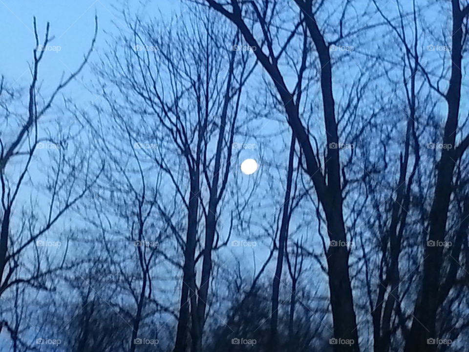 4-13-14 moon