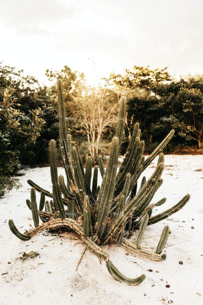 feel relax in the morning hour